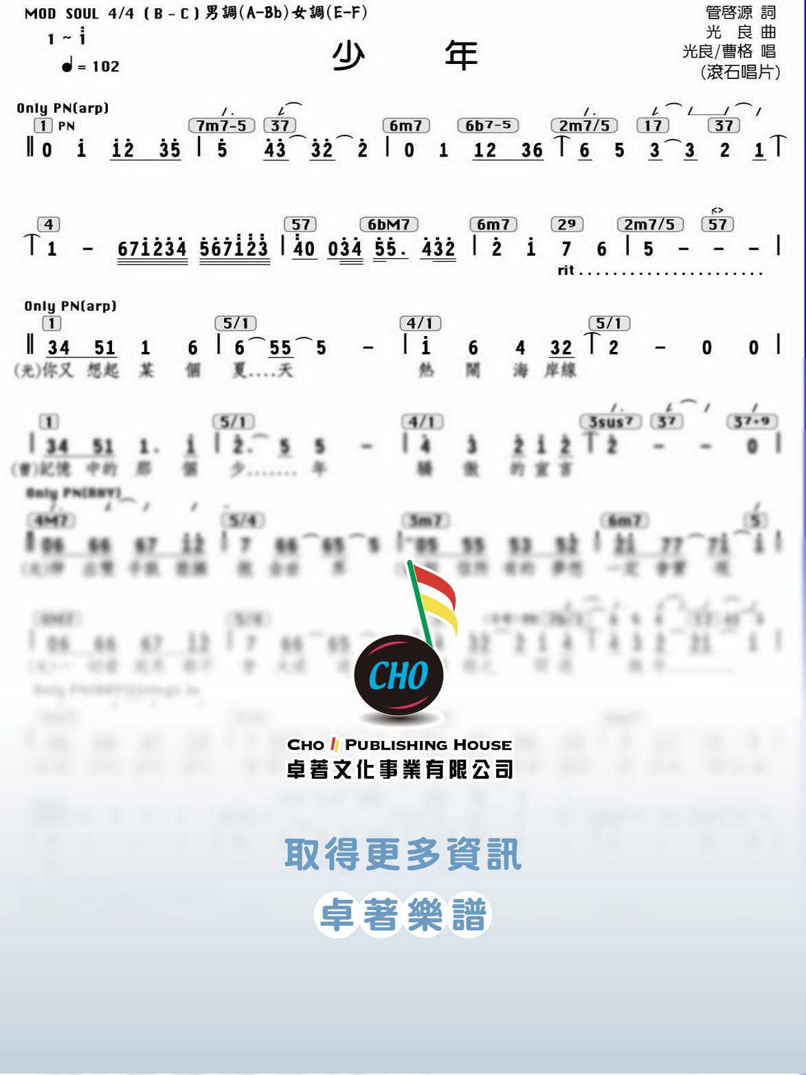 少年